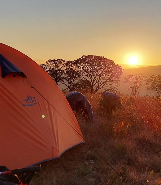 trail-img-7-copyright